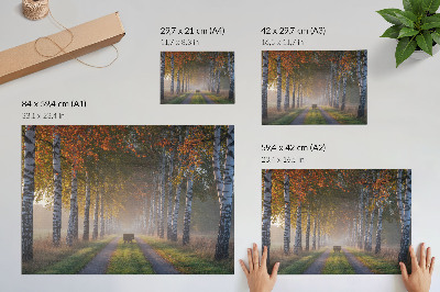 Modern wall art poster depicting a forest alley