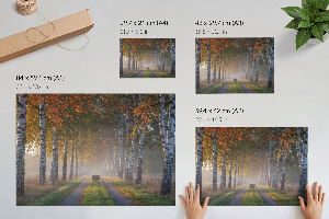 Modern wall art poster depicting a forest alley