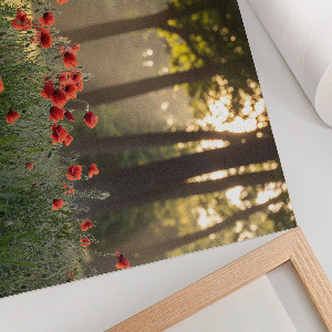 Premium wall art featuring poppies and a forest scene