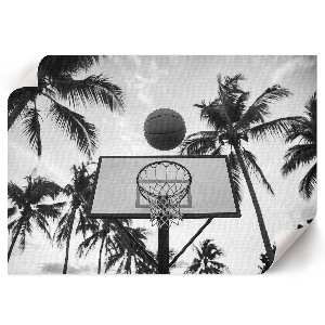Premium wall art celebrating a passion for sports
