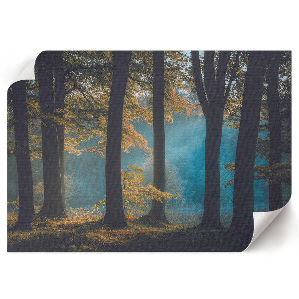 Premium wall art titled "Forest Peace"