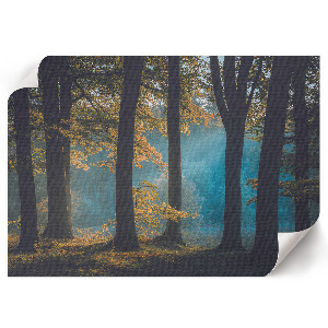 Premium wall art Forest peace