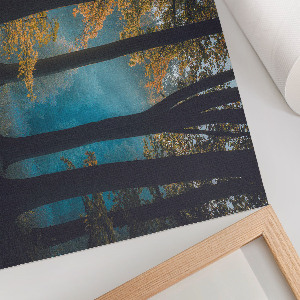 Premium wall art Forest peace