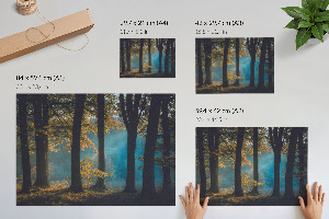 Premium wall art Forest peace