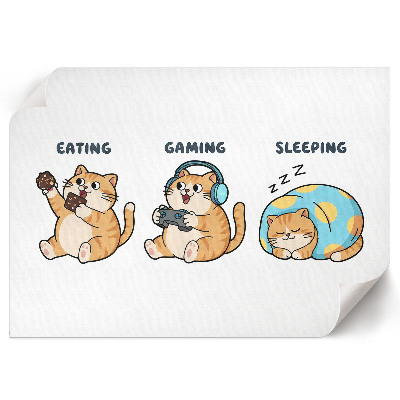 Canvas poster depicting a cat's life
