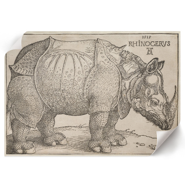 Canvas poster depicting a rhinoceros