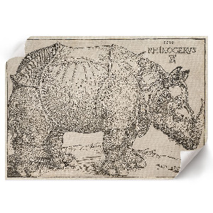 Canvas poster depicting a rhinoceros