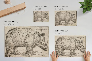 Canvas poster depicting a rhinoceros
