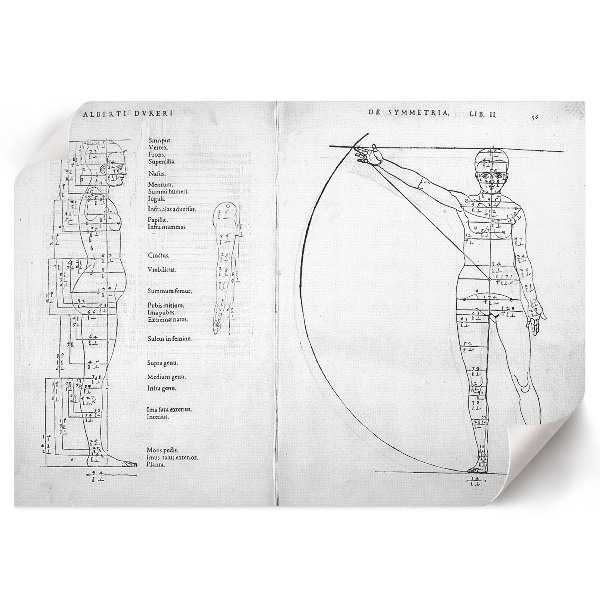 Wall poster featuring a drawing of a human