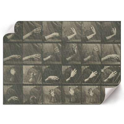 Modern wall art poster showing animal locomotion