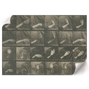 Modern wall art poster Animal locomotion