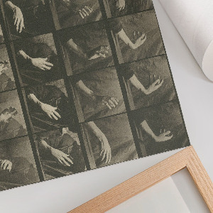 Modern wall art poster Animal locomotion