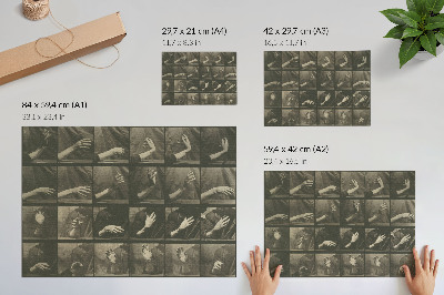 Modern wall art poster showing animal locomotion