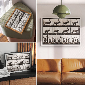 Premium wall art depicting animal locomotion