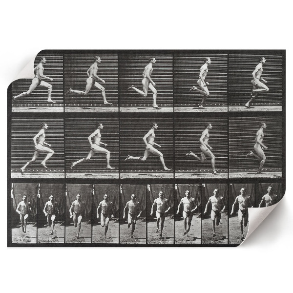 Canvas poster Animal locomotion