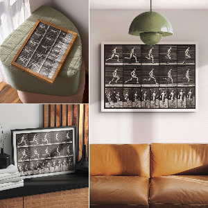 Canvas poster Animal locomotion