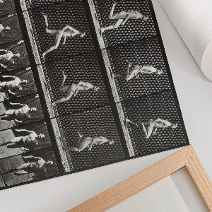 Canvas poster depicting animal locomotion