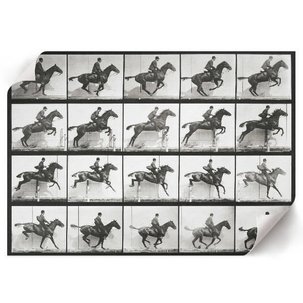 Wall poster featuring a rider