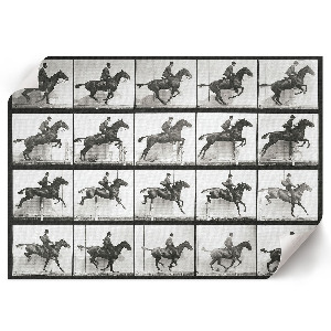 Wall poster featuring a rider