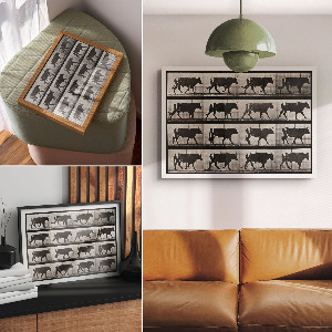 Premium wall art featuring a bull on the march