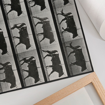 Premium wall art featuring a bull on the march