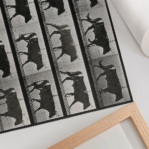 Premium wall art featuring a bull on the march