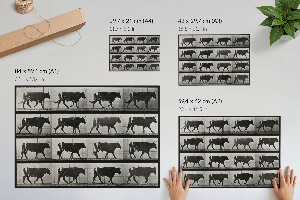 Premium wall art featuring a bull on the march