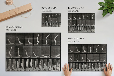 Canvas poster 