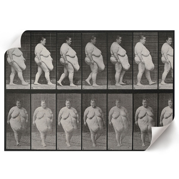 Wall poster featuring an obese woman