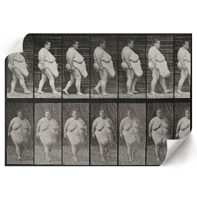 Wall poster featuring an obese woman