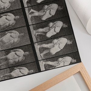 Wall poster Obese woman