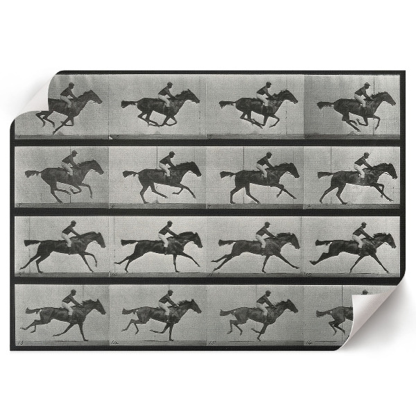 Modern wall art poster featuring a galloping horse