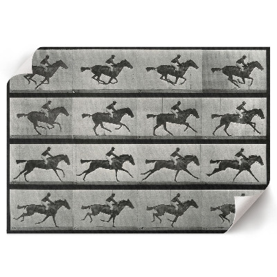 Modern wall art poster featuring a galloping horse