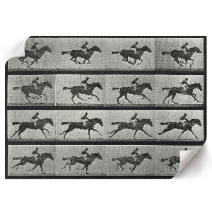 Modern wall art poster featuring a galloping horse