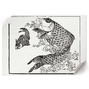 Canvas poster featuring a carp
