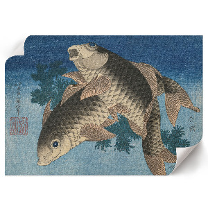 Wall poster showing a carp swimming among seaweed