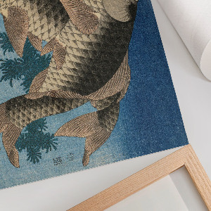 Wall poster showing a carp swimming among seaweed