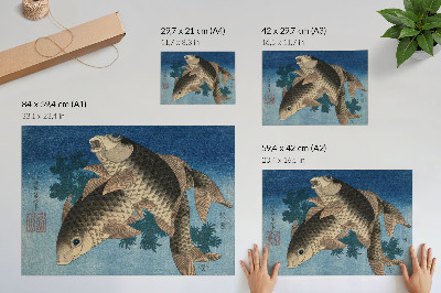 Wall poster showing a carp swimming among seaweed