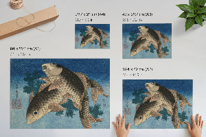 Wall poster showing a carp swimming among seaweed