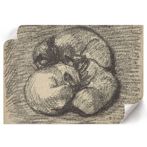 Premium wall art Cats