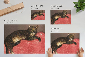 Wall poster featuring a cat on a pillow