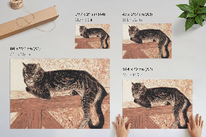 Premium wall art featuring a cat on a balustrade