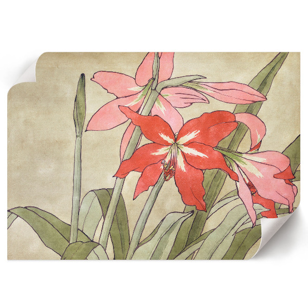 Modern wall art poster featuring an amaryllis