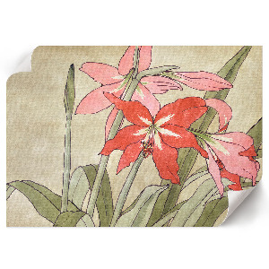 Modern wall art poster featuring an amaryllis
