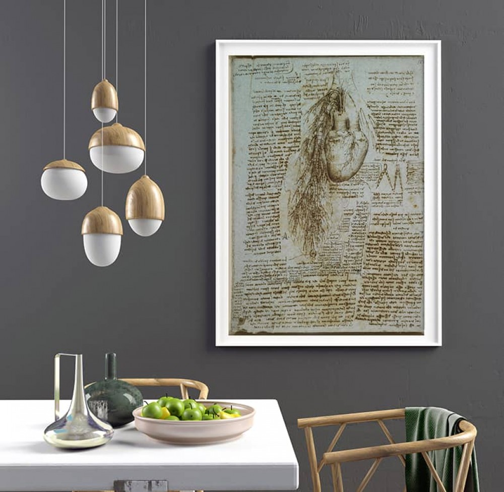 Anatomical paintings Leoanrdo da Vinci